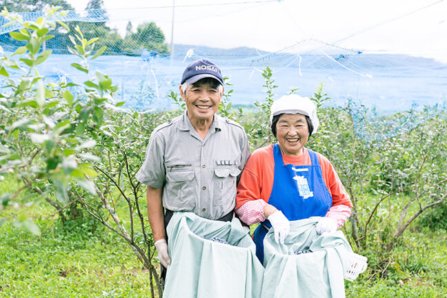 奥寺さんとブルーベリーについて