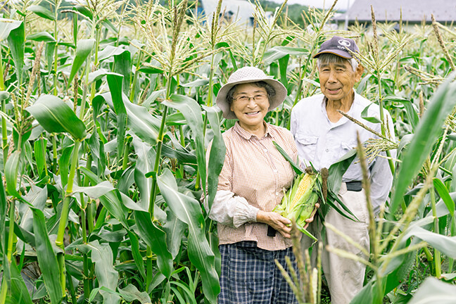 多田さんとトウモロコシについて