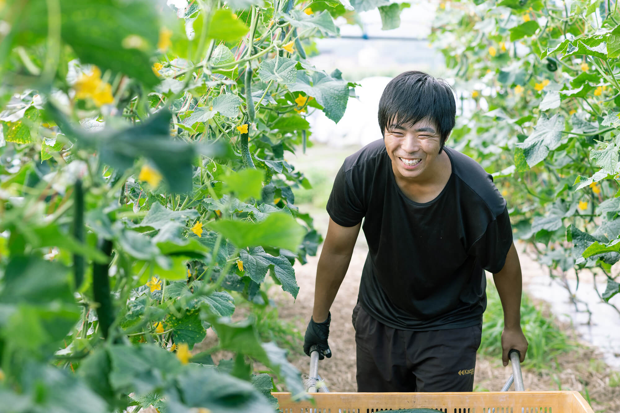 こんたでぃーの遠野生産者中平さん