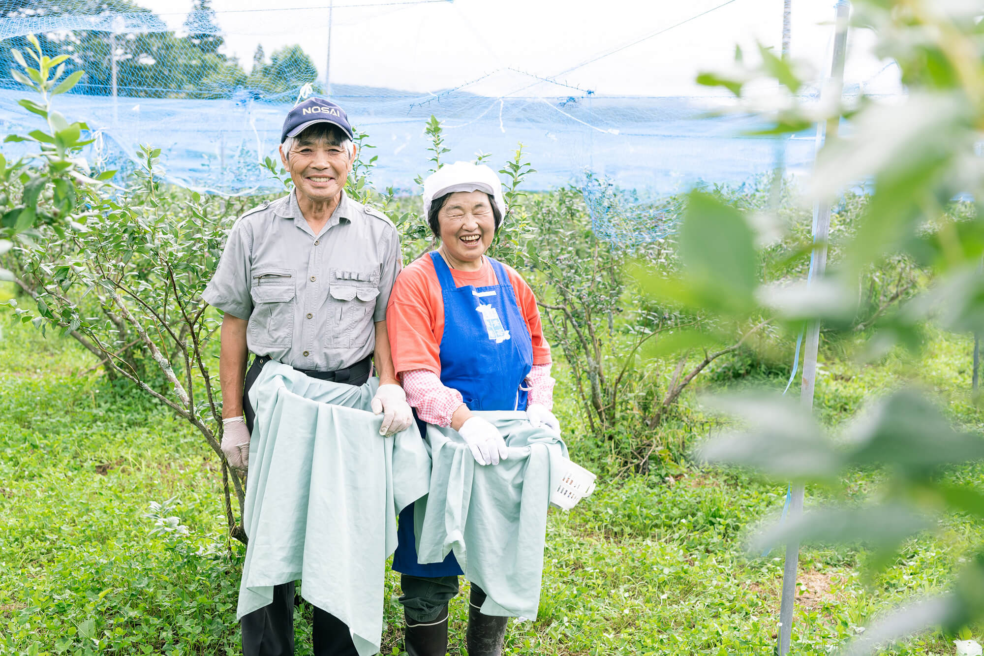 こんたでぃーの遠野生産者奥寺さん